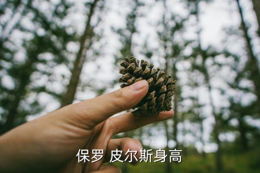 皮爾斯在哪個(gè)球隊(duì)退役,nba最牛逼球員皮爾斯退役