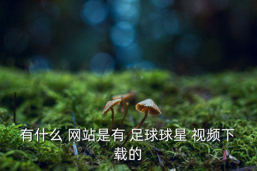 足球視頻有哪個(gè)網(wǎng)站,意甲聯(lián)賽:尤文圖斯奪得冠軍