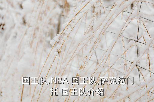  國王隊(duì),NBA 國王隊(duì),薩克拉門托 國王隊(duì)介紹