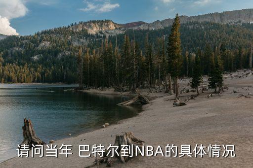 請(qǐng)問(wèn)當(dāng)年 巴特爾到NBA的具體情況