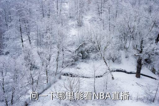 哪個(gè)播放器可以看nba,nba直播中心首次開放直播比賽