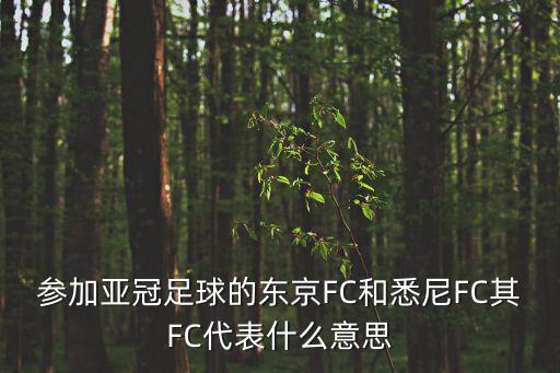 林肯Fc隊哪個國家,fc是英文ootootclub的縮寫