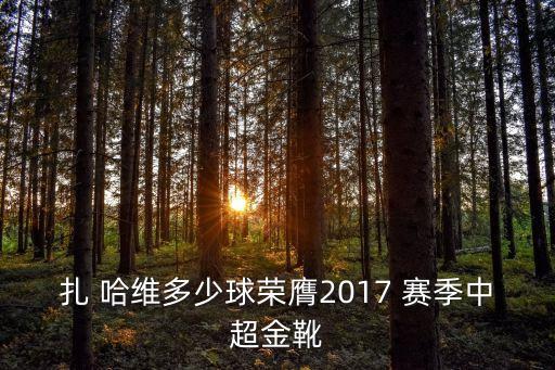 扎 哈維多少球榮膺2017 賽季中超金靴