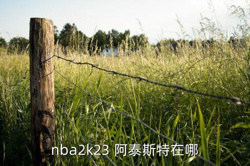 nba2k23 阿泰斯特在哪