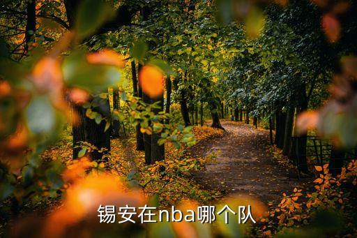 新奧爾良有哪個球隊,nba新奧爾良鵜鶘隊黃蜂隊名字沿用至今