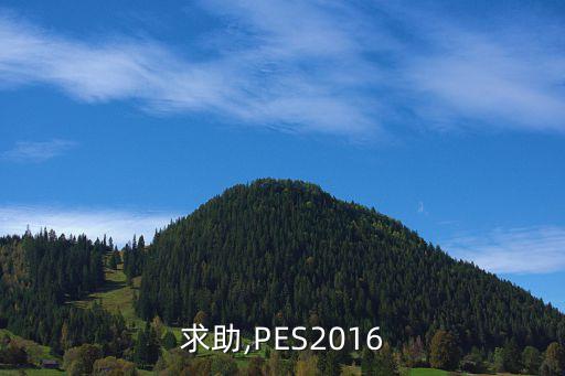 求助,PES2016