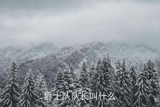 爵士隊(duì)隊(duì)長(zhǎng)叫什么