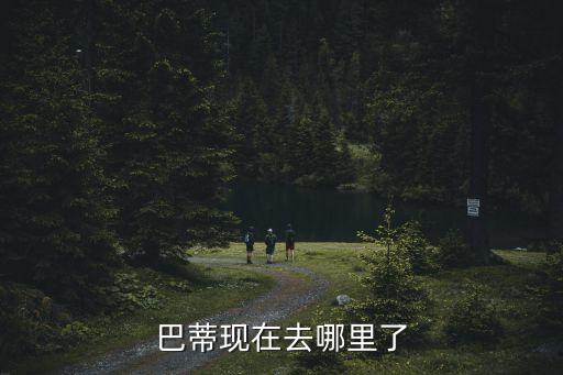 巴蒂現(xiàn)在去哪里了