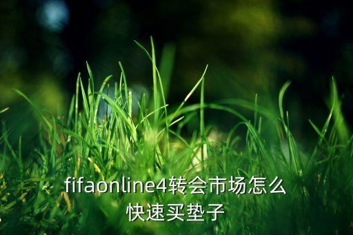 fifaonline4轉(zhuǎn)會市場怎么快速買墊子