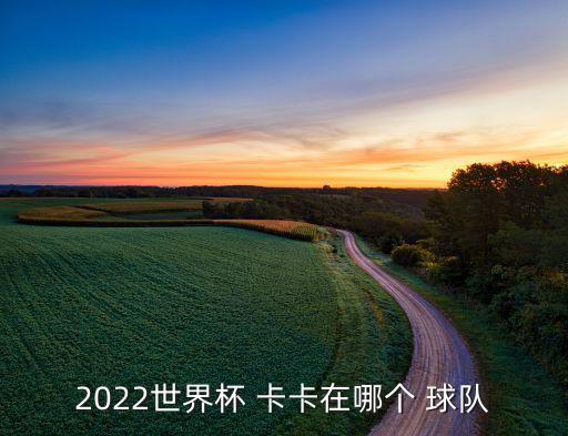 2022世界杯 卡卡在哪個(gè) 球隊(duì)