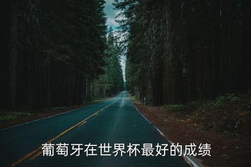  葡萄牙在世界杯最好的成績