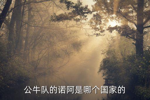 公牛隊(duì)的諾阿是哪個(gè)國(guó)家的