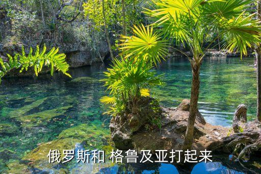 格魯甲哪個國家,俄羅斯總統(tǒng):俄國不會讓殺害同胞兇手逍遙法外