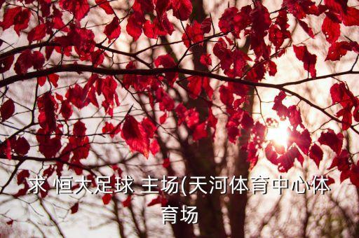 求 恒大足球 主場(chǎng)(天河體育中心體育場(chǎng)