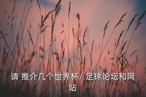 請(qǐng) 推介幾個(gè)世界杯/ 足球論壇和網(wǎng)站