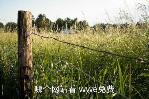 哪個(gè)直播wwe,廣東體育頻道直播免費(fèi)觀看wwe比賽