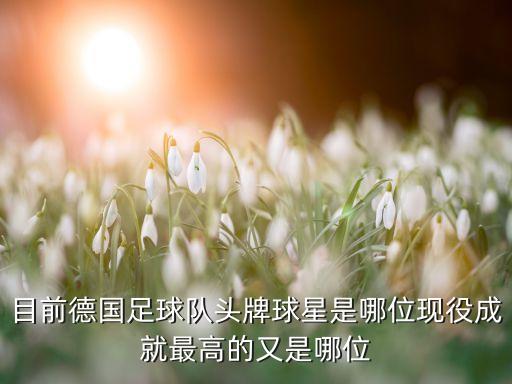 哪個賽季拉姆,《摩爾莊園》單詞拉姆在游戲中被稱為守護靈