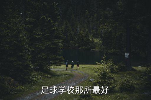 魯能足校 和恒大哪個好,中國最好的足校足校是山東濰坊