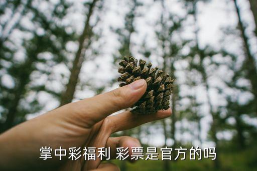 下載彩票網(wǎng)站哪個(gè)好,為何不能網(wǎng)購(gòu)彩票?假彩票s太多了