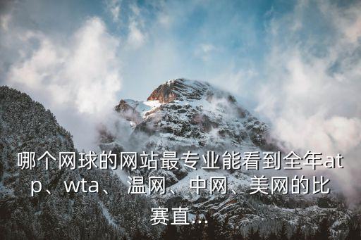 哪個網(wǎng)球的網(wǎng)站最專業(yè)能看到全年atp、wta、 溫網(wǎng)、中網(wǎng)、美網(wǎng)的比賽直...