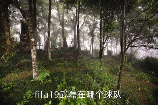 fifa19武磊在哪個(gè)球隊(duì)