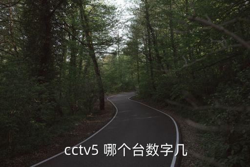  cctv5 哪個臺數(shù)字幾