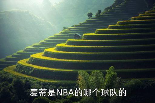  麥蒂是NBA的哪個球隊的