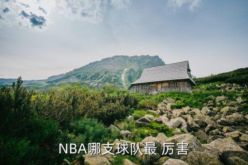 NBA哪支球隊最 厲害