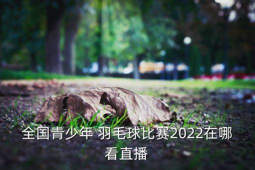 全國青少年 羽毛球比賽2022在哪看直播