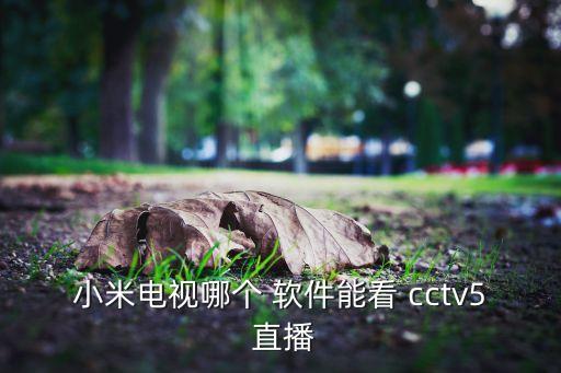 哪個軟件直播cctv5,點擊屏幕中央播放按鈕即可觀看直播