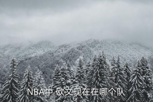 nba歐文哪個球隊,nba球星凱里歐文之子詹皇