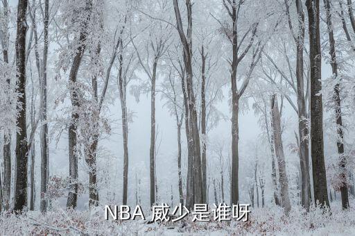 nba球員威少哪個(gè)隊(duì)?,nba球員拉塞爾·維斯特布魯克