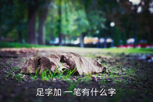 足字加 一筆有什么字