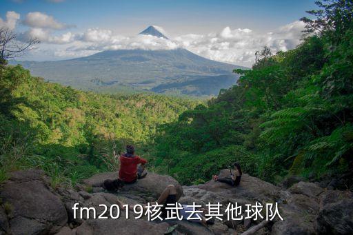 fm2019哪個隊,新人選擇中超球隊推薦廣州恒大吳清源