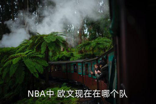 NBA中 歐文現(xiàn)在在哪個(gè)隊(duì)