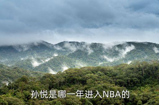  孫悅是哪一年進入NBA的