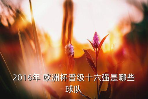 2016年 歐洲杯晉級十六強(qiáng)是哪些球隊(duì)