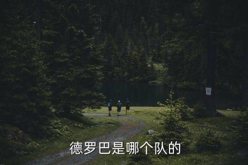 德羅巴哪個(gè)國(guó)家的,德羅巴基斯坦檔案世界杯決賽圈創(chuàng)造歷史