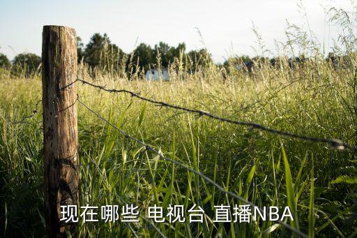 現(xiàn)在哪些 電視臺 直播NBA