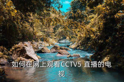 電腦哪個軟件看cctv5直播,精選電視直播節(jié)目