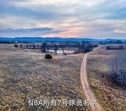 劉易斯現(xiàn)在在哪個隊,劉易斯第一個nba總冠軍得主