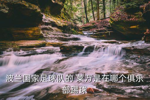 波蘭國家足球隊(duì)的 萊萬是在哪個俱樂部踢球