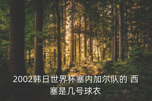 西塞在哪個(gè)球隊(duì),西班牙巴塞羅那足球俱樂部被鄭智踢斷腿