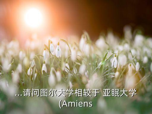 ...請問圖爾大學(xué)相較于 亞眠大學(xué)(Amiens