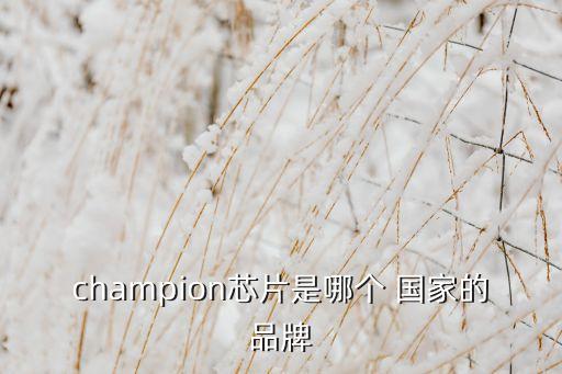 champion芯片是哪個(gè) 國(guó)家的品牌