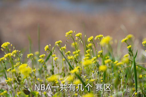 密爾沃基雄鹿哪個(gè)賽區(qū),nba分為六個(gè)隊(duì)賽區(qū)每個(gè)隊(duì)都有球隊(duì)