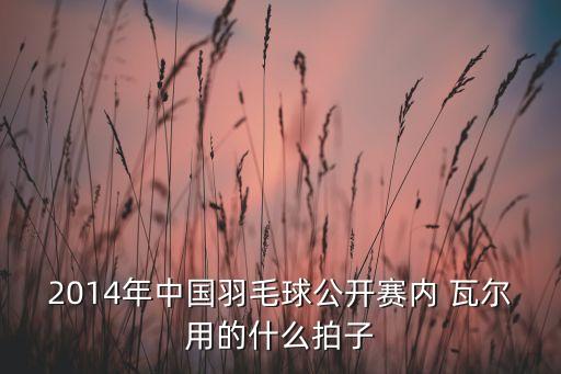 2014年中國羽毛球公開賽內(nèi) 瓦爾用的什么拍子