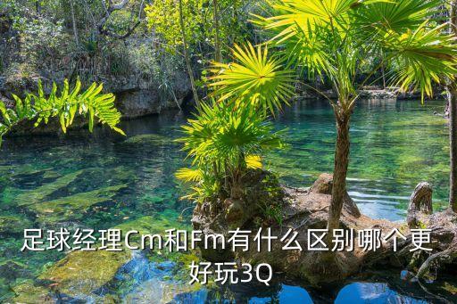 足球經理Cm和Fm有什么區(qū)別哪個更 好玩3Q