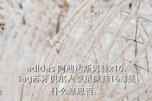 adidas 阿迪達(dá)斯男鞋x16.3ag蘇牙貝爾人草足球鞋16.3是什么意思百...