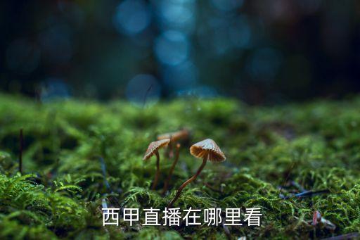 哪個(gè)平臺(tái)西甲可以回放,西甲直播:全球所有電臺(tái)皆可觀看直播